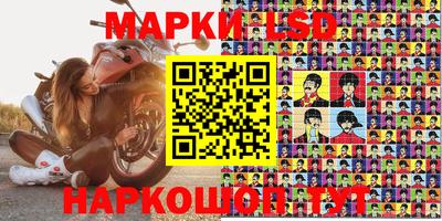шишки Лесосибирск